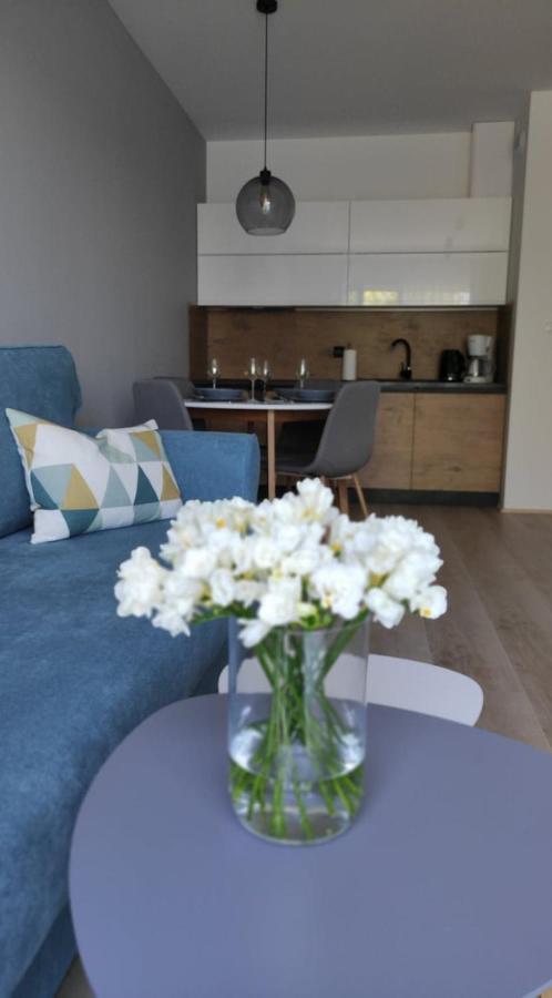 Apartament Kameleon جيفيجينا المظهر الخارجي الصورة